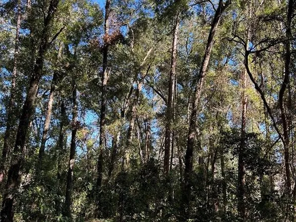 Tba Southwest Loop #91, Dunnellon, FL 34432