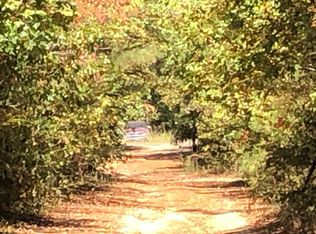 545 Meeks Rd, Wellington, AL 36279