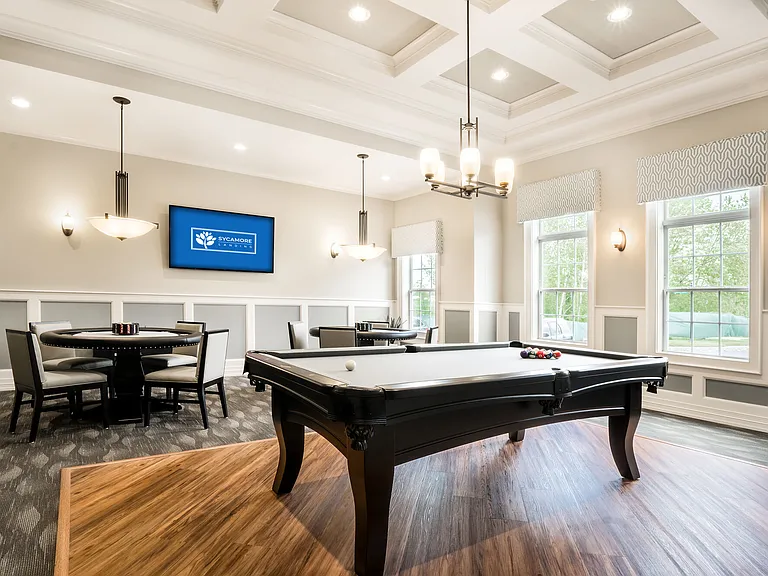 Sycamore Landing — Photo 16