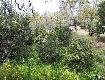 4th image of 110 Henderson Dr