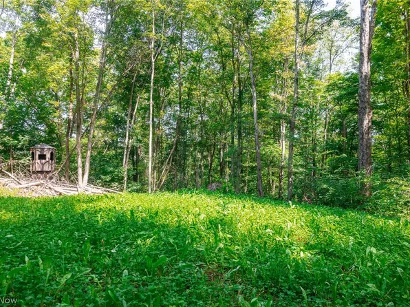 Richards Rd, Cambridge, OH 43725
