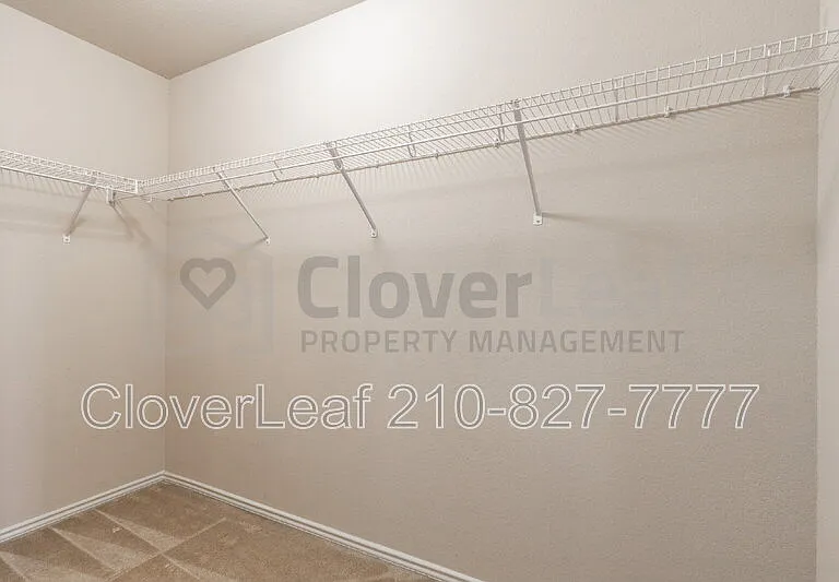 3734 Ox Eye Daisy — Photo 37