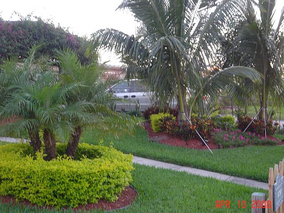 Front Yard  