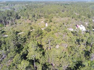 Azalea Ln, Osteen, FL 32764