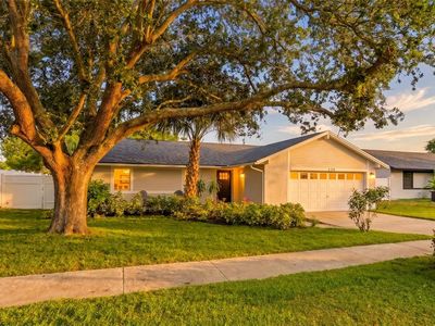 239 MYRTLE COURT, Palm Harbor, FL, 34683