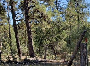 155 E Nail Ranch Rd, Young, AZ 85554