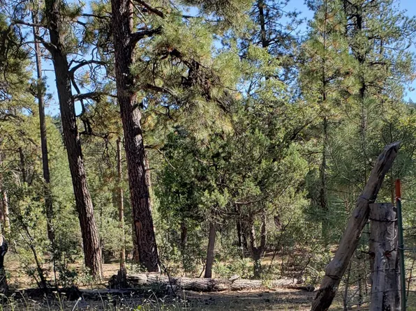 155 E Nail Ranch Rd, Young, AZ 85554