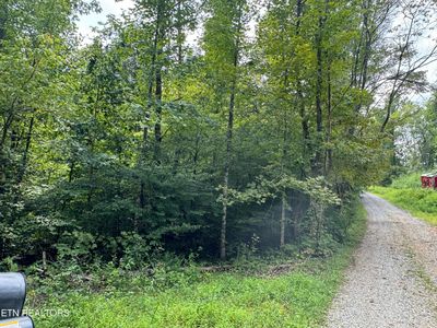 Vixen Way, Cosby, TN, 37722