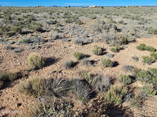 1129 E Waddell Rd, Williams, AZ 86046