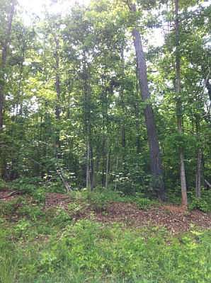 2nd image of 1109 Corey Creek Dr