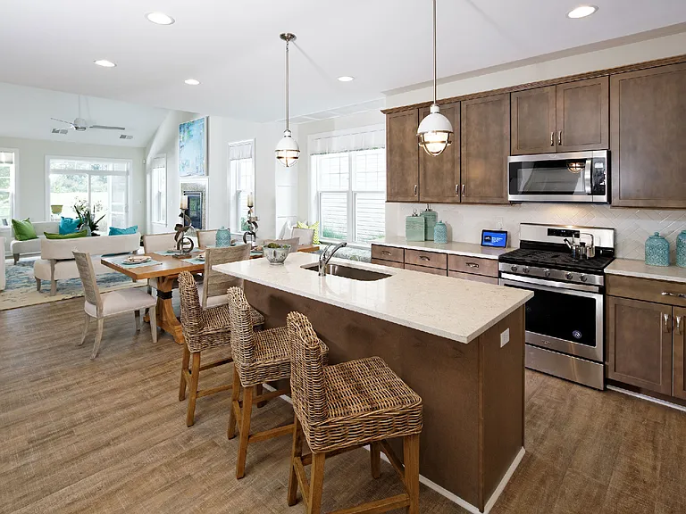 Coastal Run at Heritage Shores 55+ — Photo 103