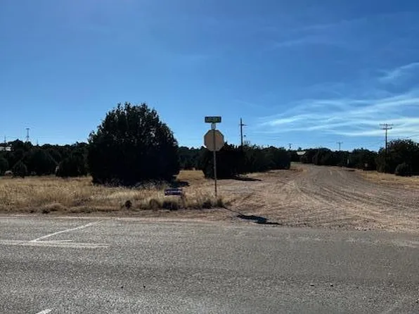 8419 Silver Creek Dr, Show Low, AZ 85901