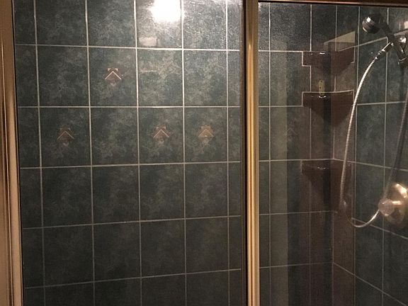 Downstairs bathroom shower