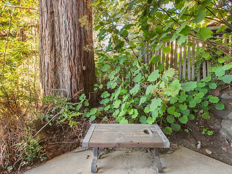 Buena Vista Way — Photo 18