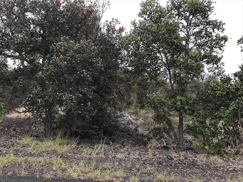 2nd image of Ginger Blossom Ln Lot 15