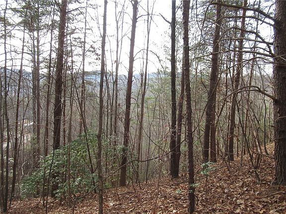 5th image of 110 Fireside Ln