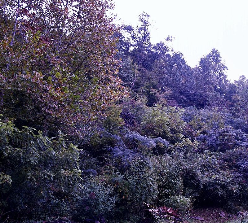 1st image of 5756 St Highway 1056