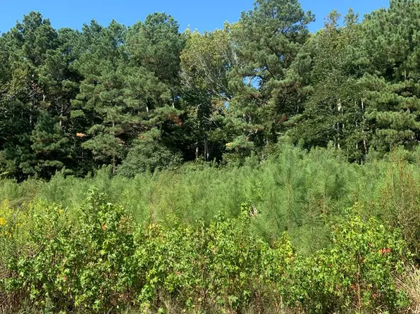LOT 22 Brickhouse Dr, Exmore, VA 23350