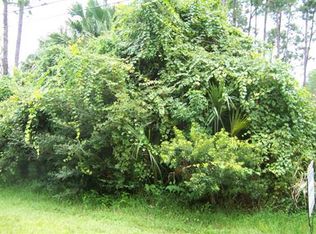 243 Ullian Trl, Palm Coast, FL 32164