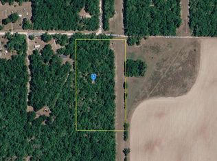 2539 NW 100 STREET, BRANFORD, FL 32008