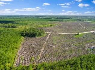 TRACT 4 Morris Break Rd, Odum, GA 31555