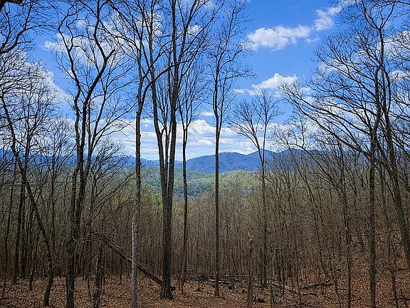 5th image of 217 Walnut Rdg