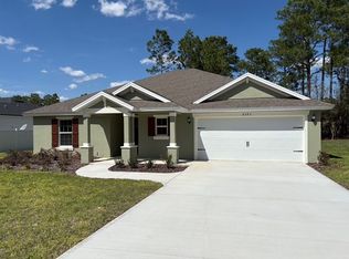 6593 SW 132nd St, Ocala, FL 34473