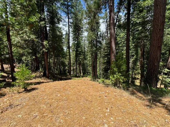 2438 Innsbruk Dr, Arnold, CA 95223