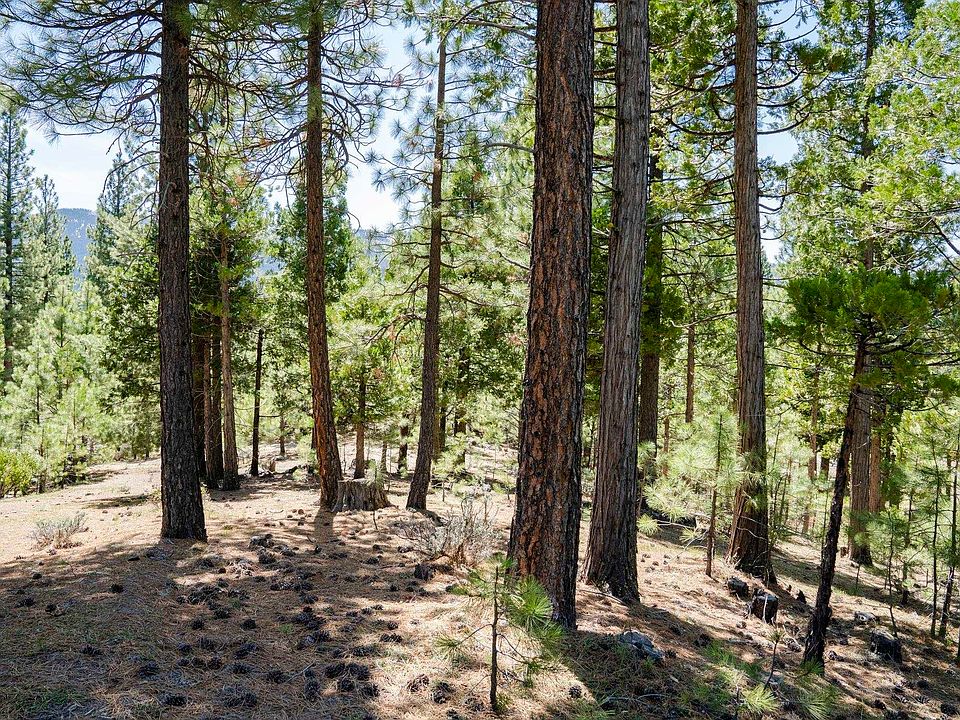 2712 Kristen Way, Clio, CA 96106 MLS 20230311 Zillow