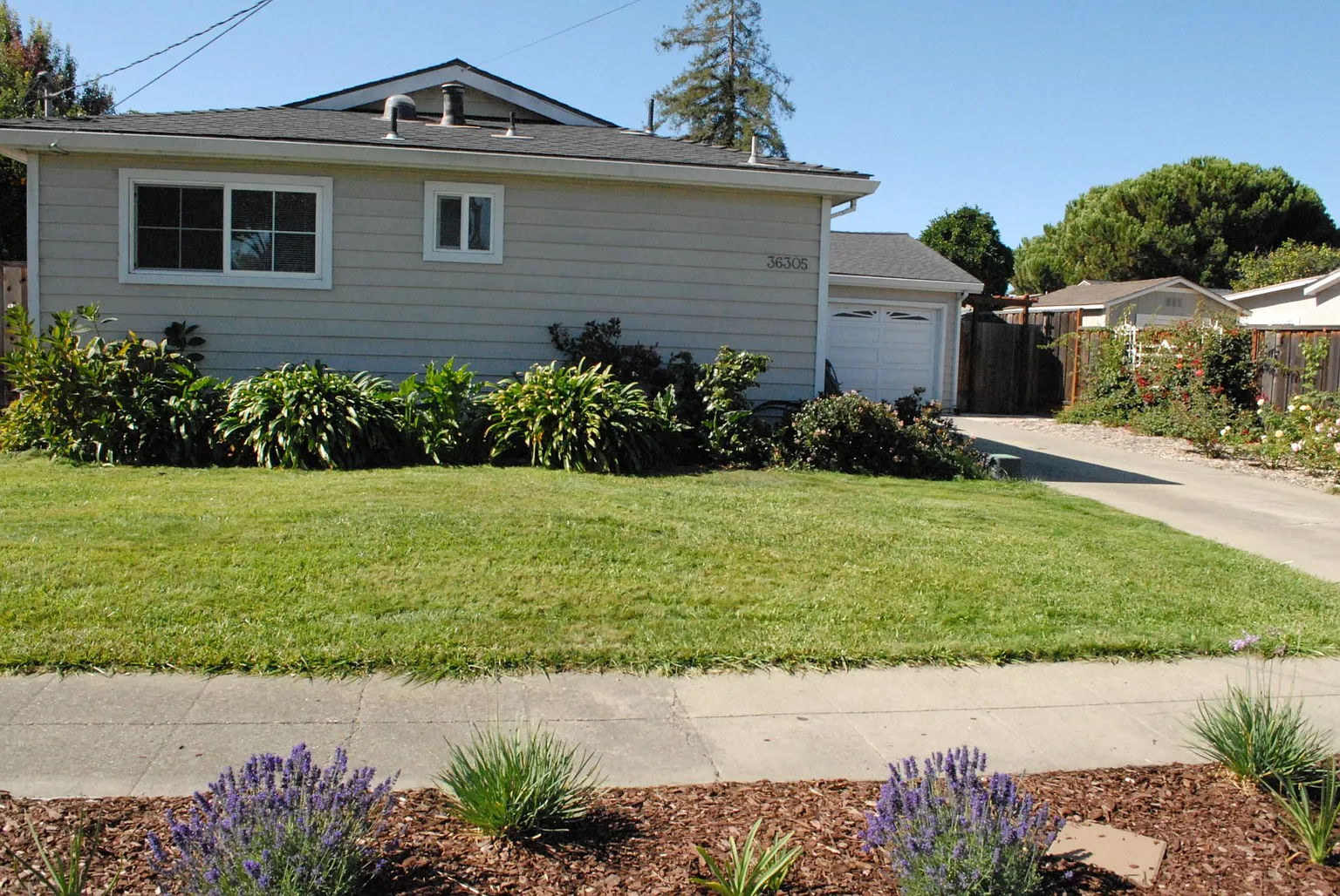 36305 Cherry St photo 1