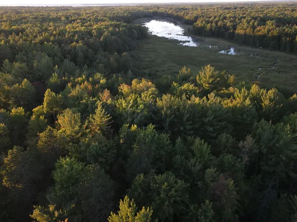 W Emery Rd, Prudenville, MI 48651