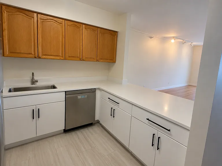 512 N McClurg Ct #3705 — Photo 7