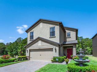 20022 Date Palm Way, Tampa, FL 33647