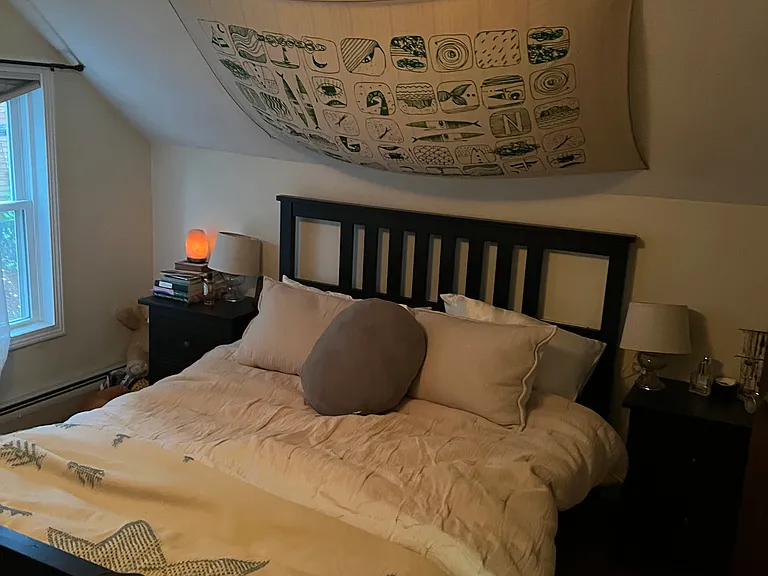 11 Watson St #WHOLE HOUSE — Photo 42