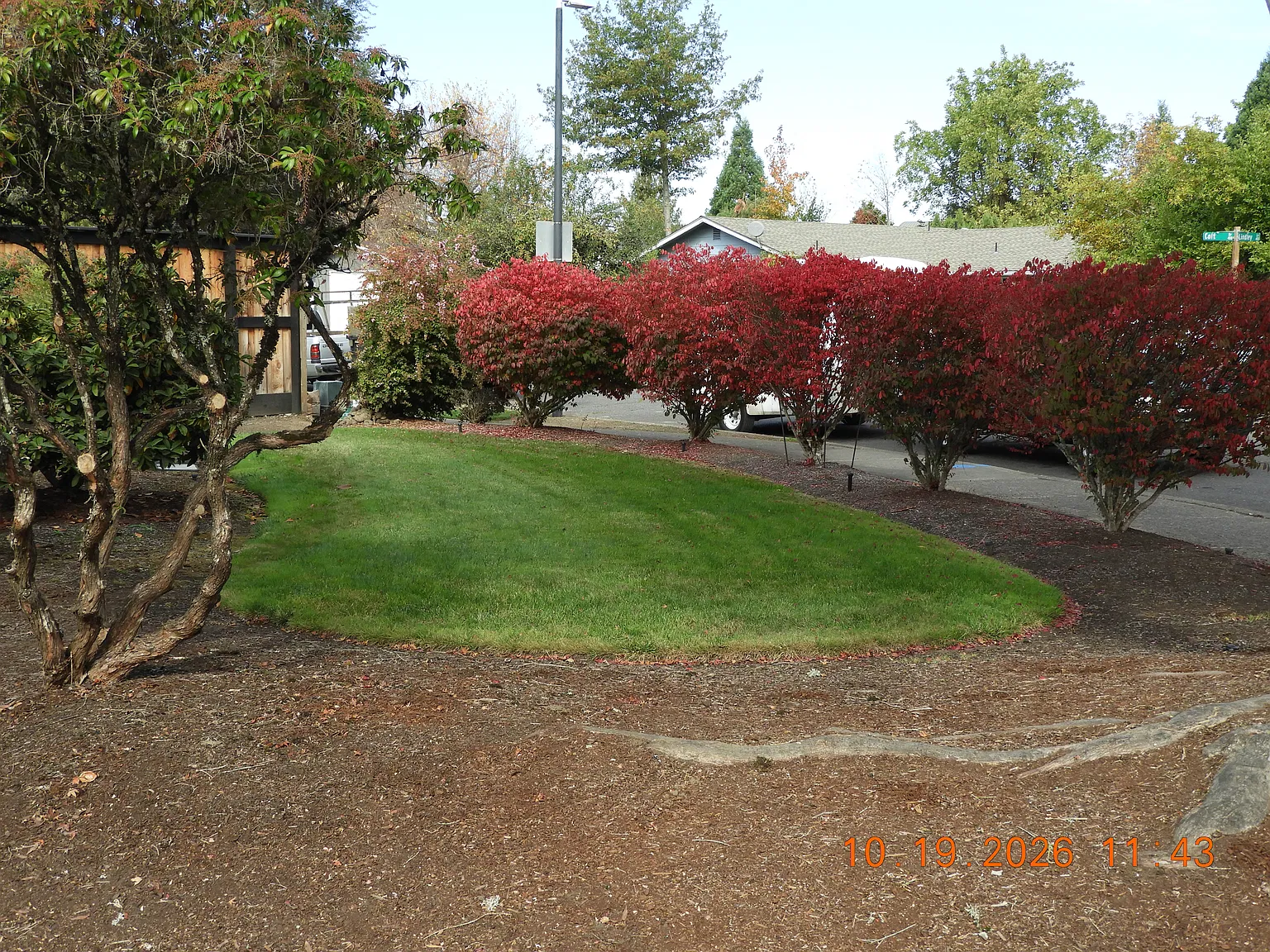 460 Lindley Ln — Photo 3