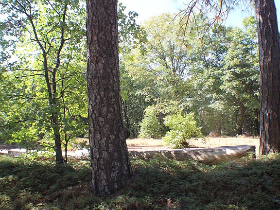 5th image of 901 Bald Mountain Rd