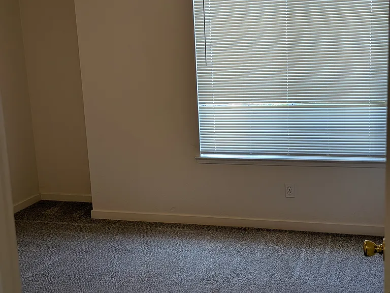 10625 N Sea Shell Cv — Photo 12