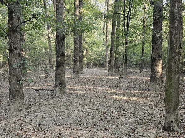 Highway 35, Vaiden, MS 39176