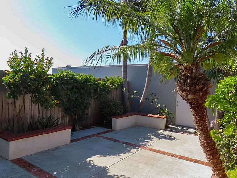 Backyard looking at planters