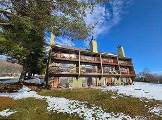 16 Grizzly Way #121, Davis, WV 26260