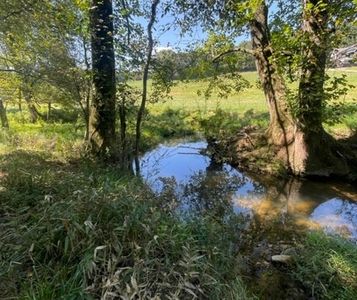LOT 2 Clear Creek Preserve Way, Ellijay, GA, 30536