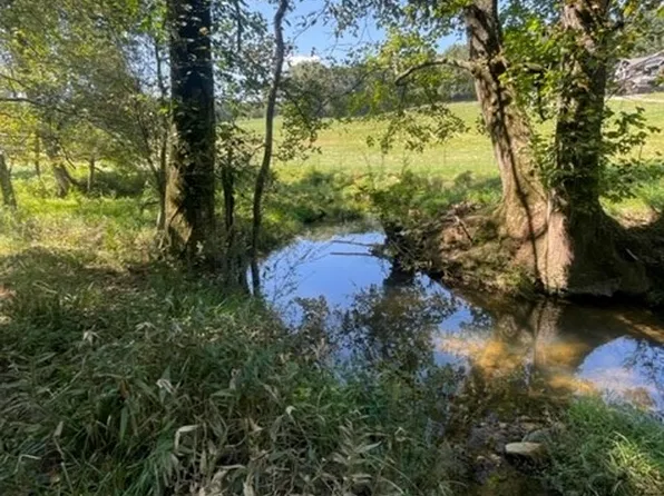 LOT 2 Clear Creek Preserve Way, Ellijay, GA 30536