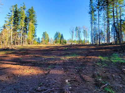 Rogers Ln #2, Dexter, OR, 97431