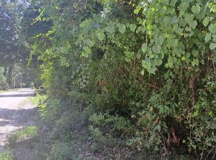 SW Riverside Ave, Fort White, FL 32038