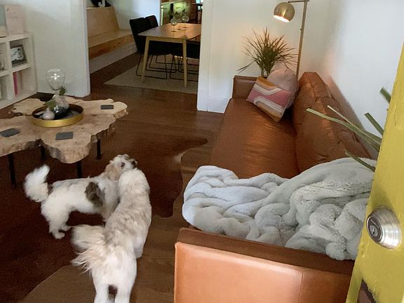 Living room from from front door