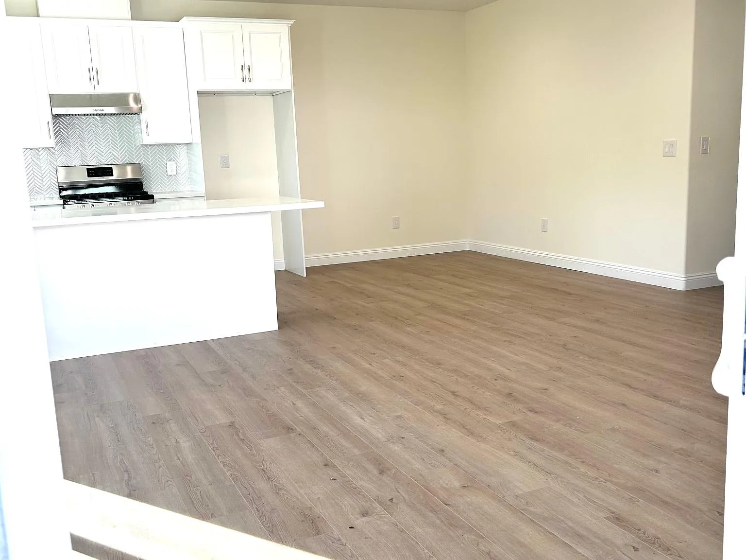 2 bed, 1000 sqft, $4,300 — Photo 4