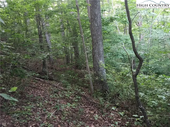 Lot 200 Falcon Ridge Drive, West Jefferson, NC 28694