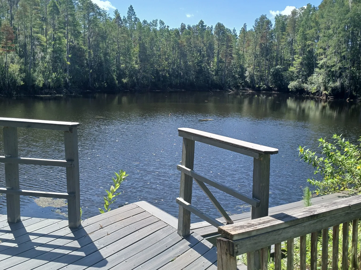 3 bed, 1320 sqft, $2,500 — Photo 3