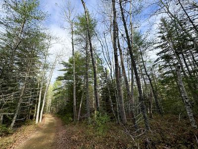 L1117&1118 Burke Street, Wesley, ME, 04686
