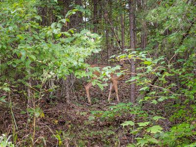 1 Highway 11 N, Zoe, KY, 41397